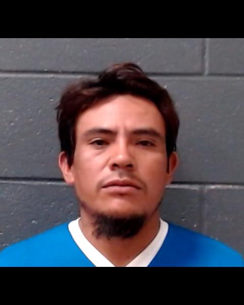 ELIN, JAVIER booking photo