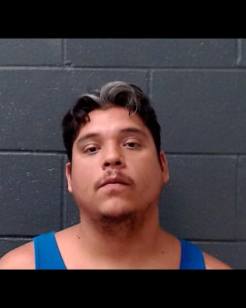 SUAREZ, JESSE LOUIS RAY booking photo