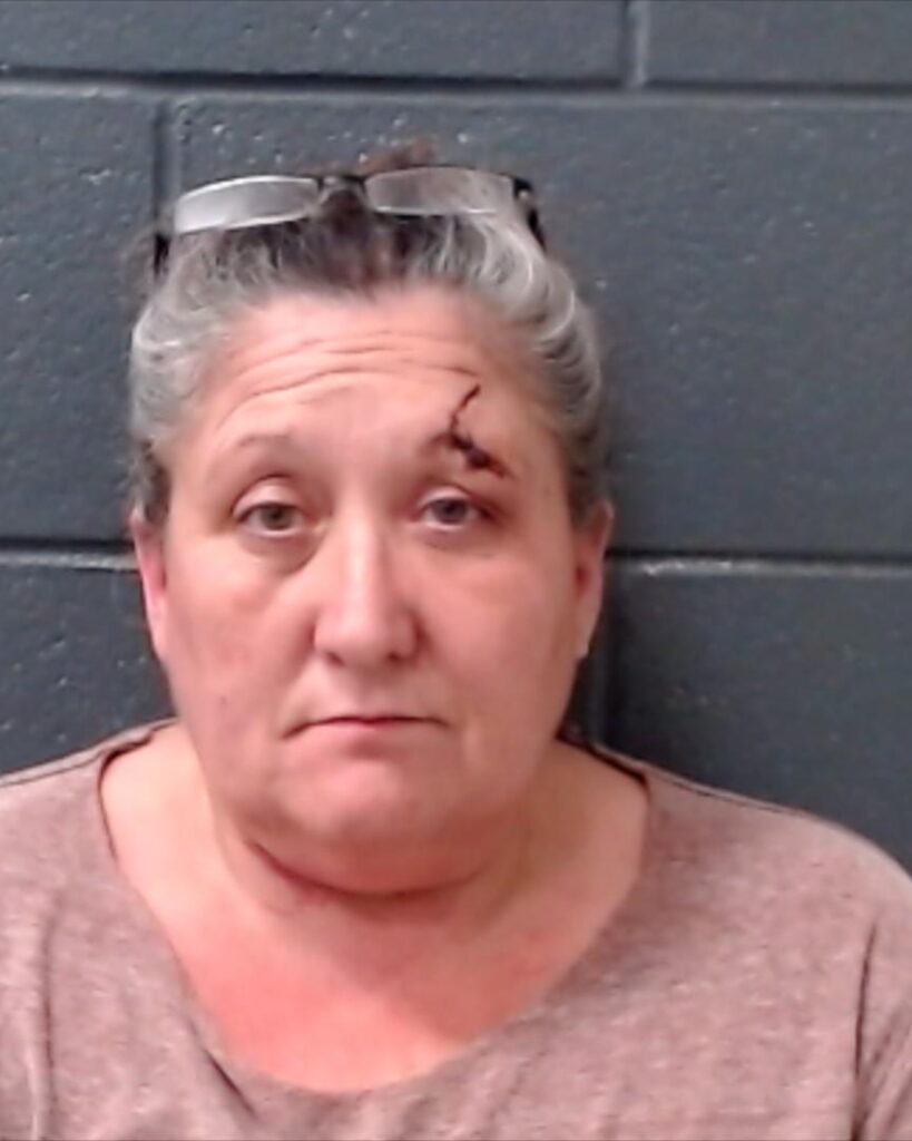 ESTES, LYNDA RAMEY arrested in Comal County, Texas mugshot