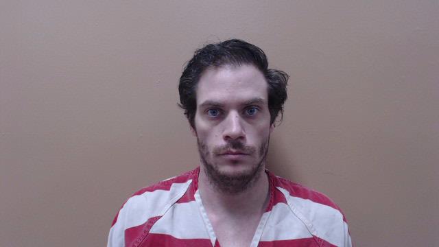 BOWDLE, DALE LEE booking photo