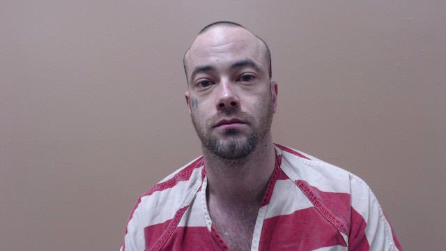 WALLACE, MICHAEL ANTHONY booking photo