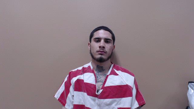 ELLIS, EVAN MATTHEW booking photo