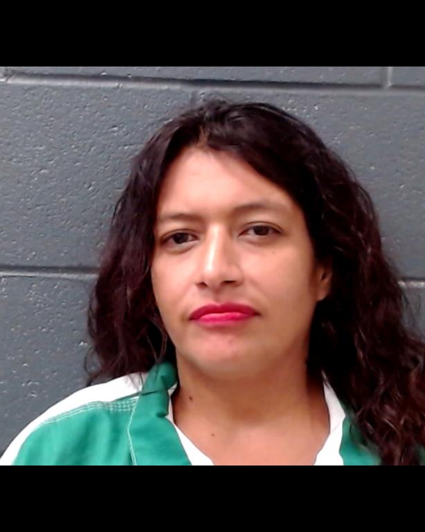 RAMIREZ, RACHEL ANN booking photo