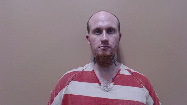 FITZGERALD, GEOHN OMNI booking photo