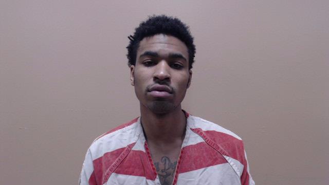 ELZIE, JAMES LEWIS booking photo