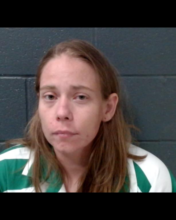 NEWELL, MEGAN LYNN booking photo