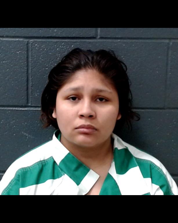 BARRIENTOS, SANDRA LUZ booking photo