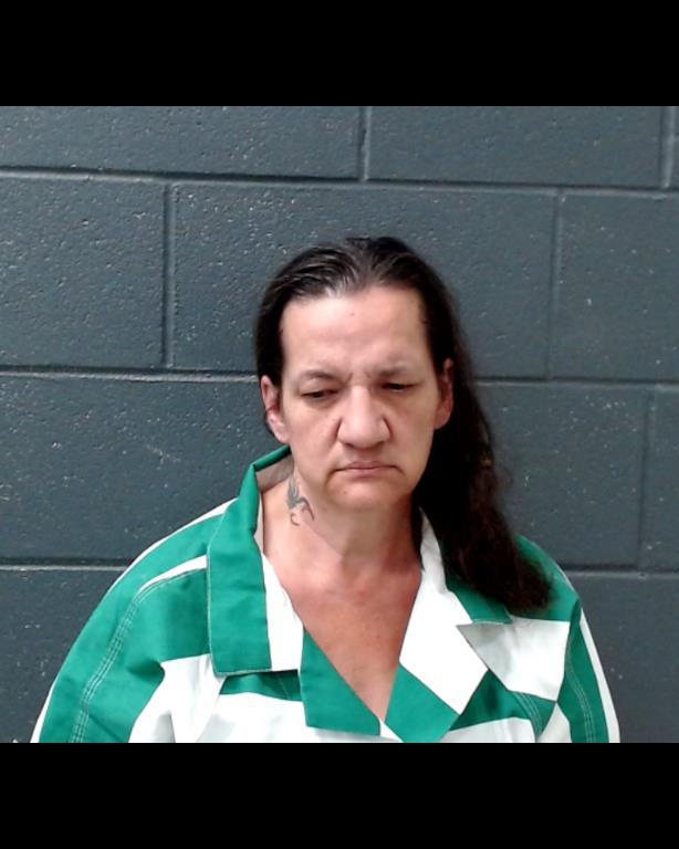 YOUNG, DONNA JEAN booking photo