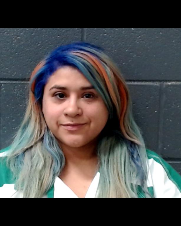 CANALES, VALERIE ANN booking photo