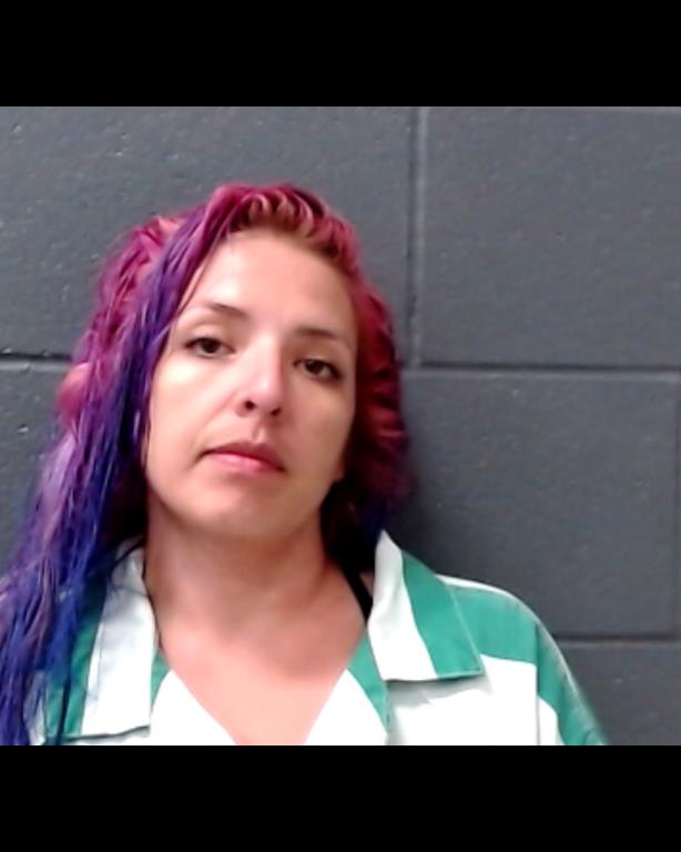 SALINAS, LARA NOEL booking photo