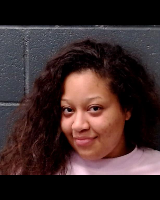 LOPEZ, ELSA JADE booking photo