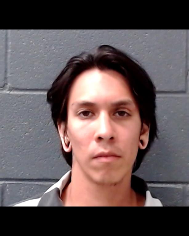 DE LA VEGA, MICHAEL ANTHONY, Jr. booking photo