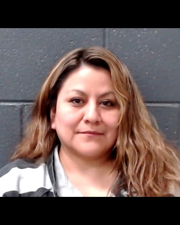 BENAVIDEZ, ALICIA PEREZ booking photo