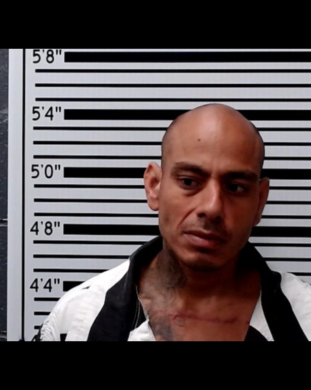 RIVAS, DAVID GENE booking photo