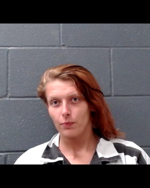 HEIDMEYER, SHONNA KAY booking photo