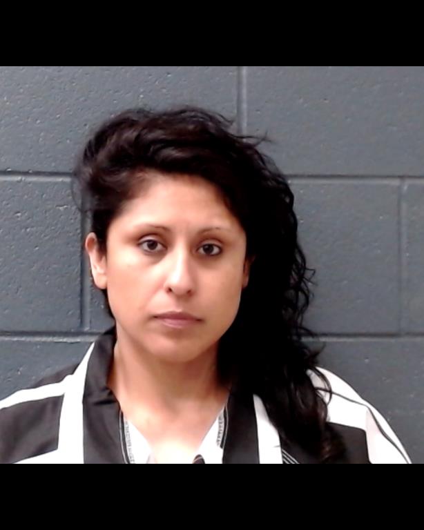 GARCIA, FRANCISCA LUISA booking photo