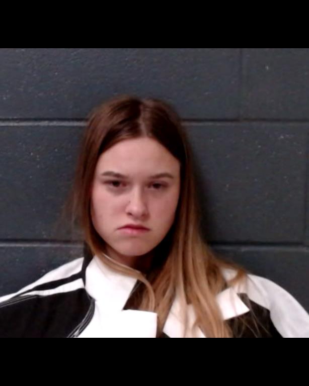 WOOCK, ALYONA booking photo