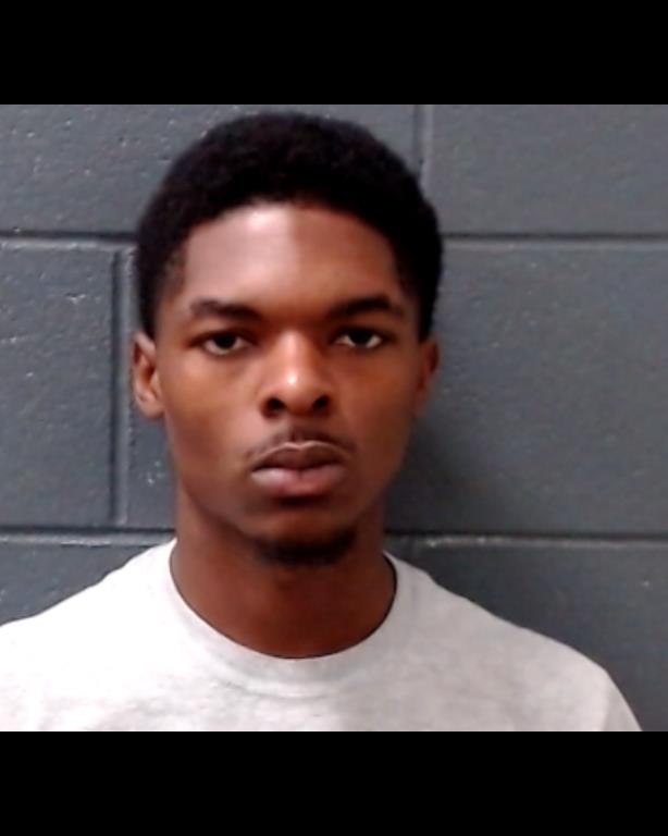 MARTIN, DEIDRYN ELLIS booking photo