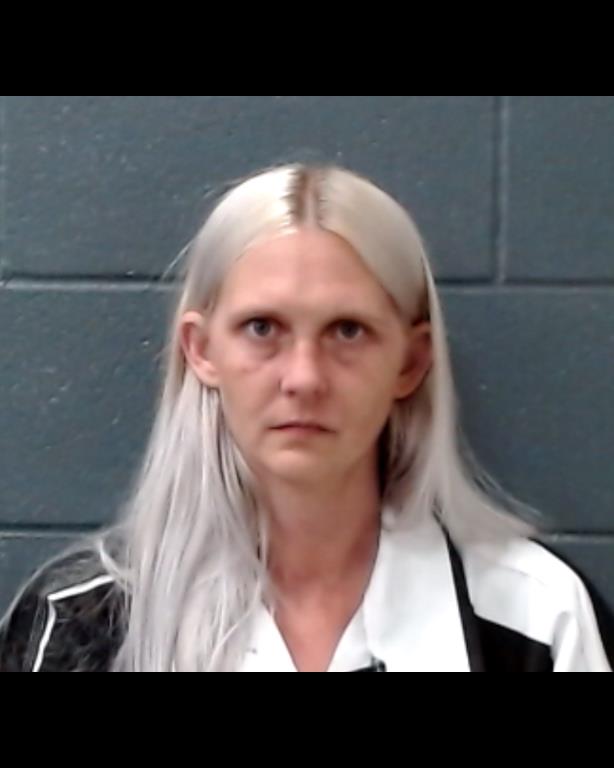 WHITE, LISA MICHELLE booking photo