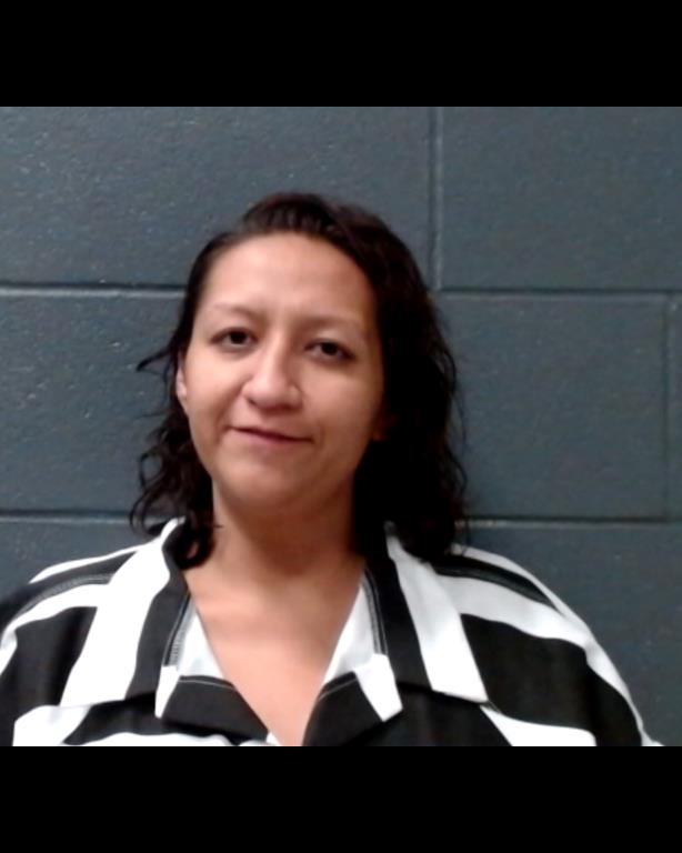 HERNANDEZ-MAGANA, ELIZABETH ADILENE booking photo