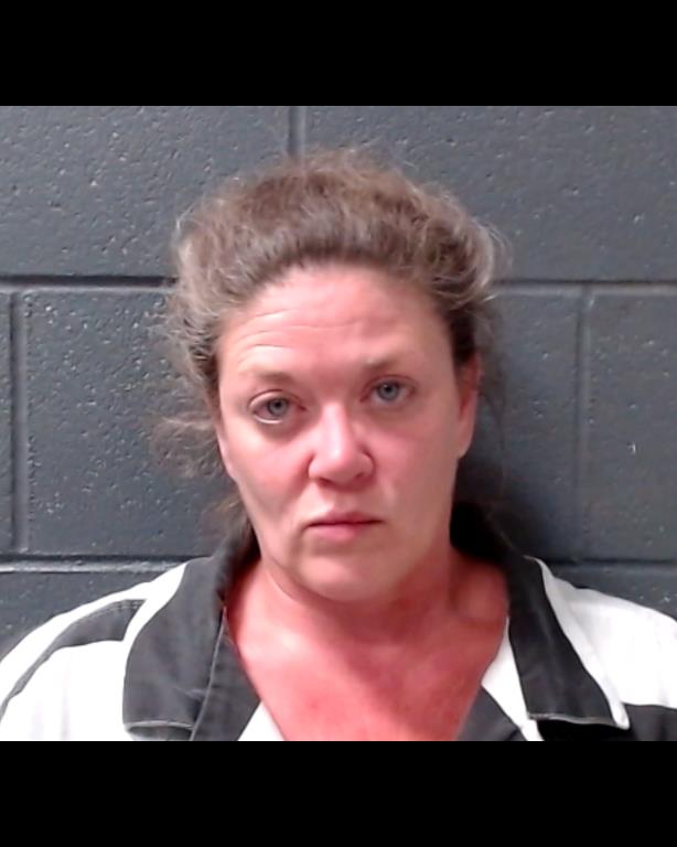 LEININGER, LISA MARION booking photo