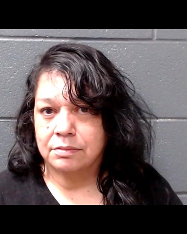 JAHNS, MARICELA SUAREZ booking photo
