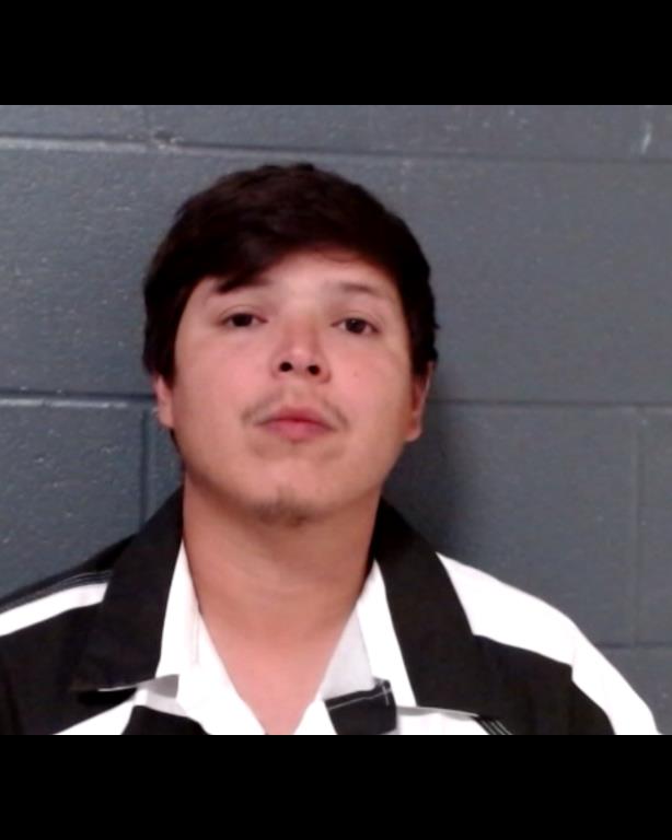 FALCON, DION JD booking photo