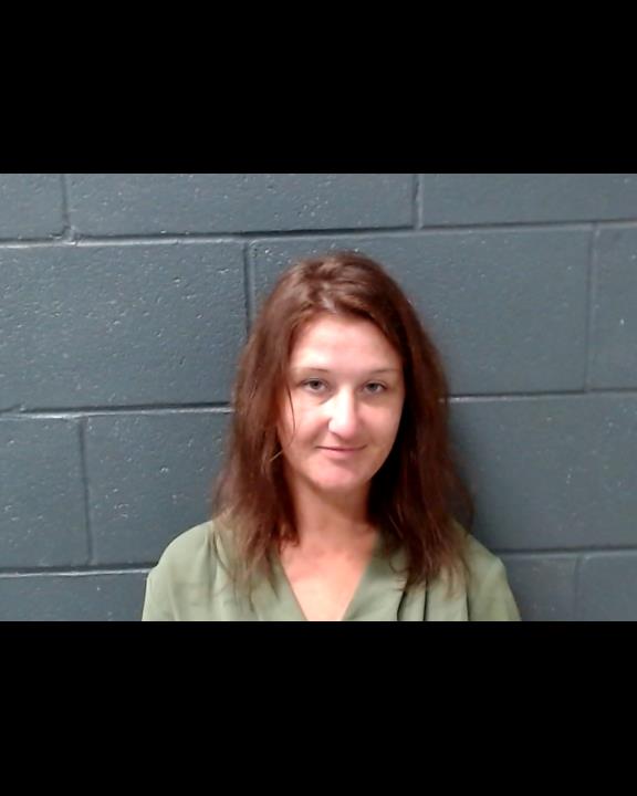 HANKE, NICOLE MICHELLE booking photo