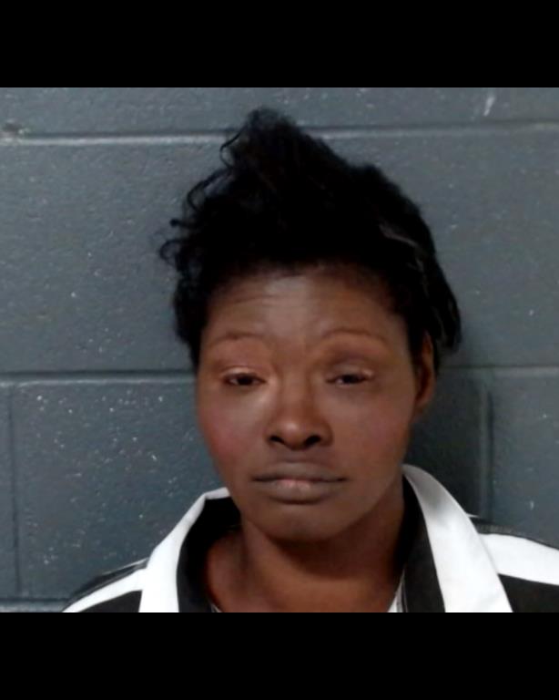 MITCHELL, FRANCES VALENCIA booking photo