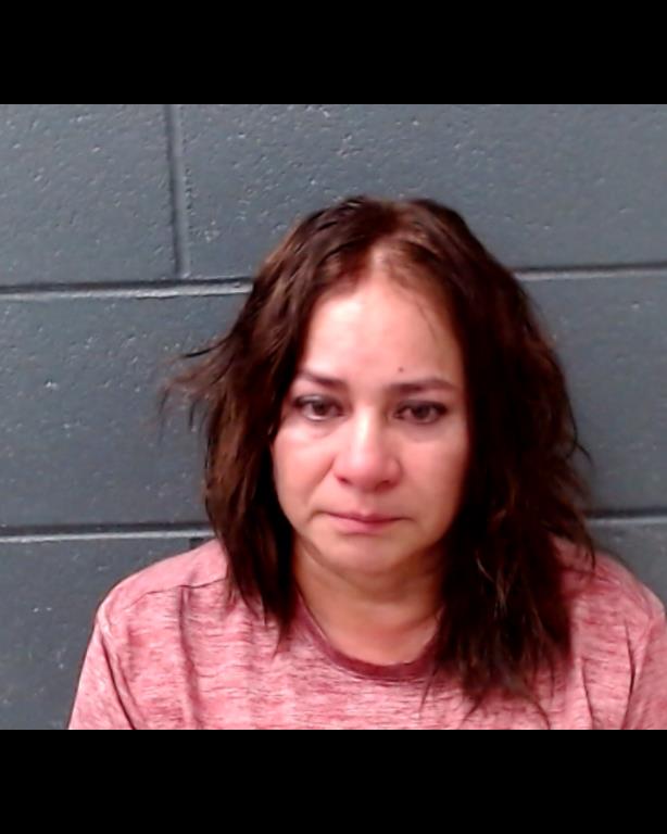 ROSAS, ANA BERTHA booking photo