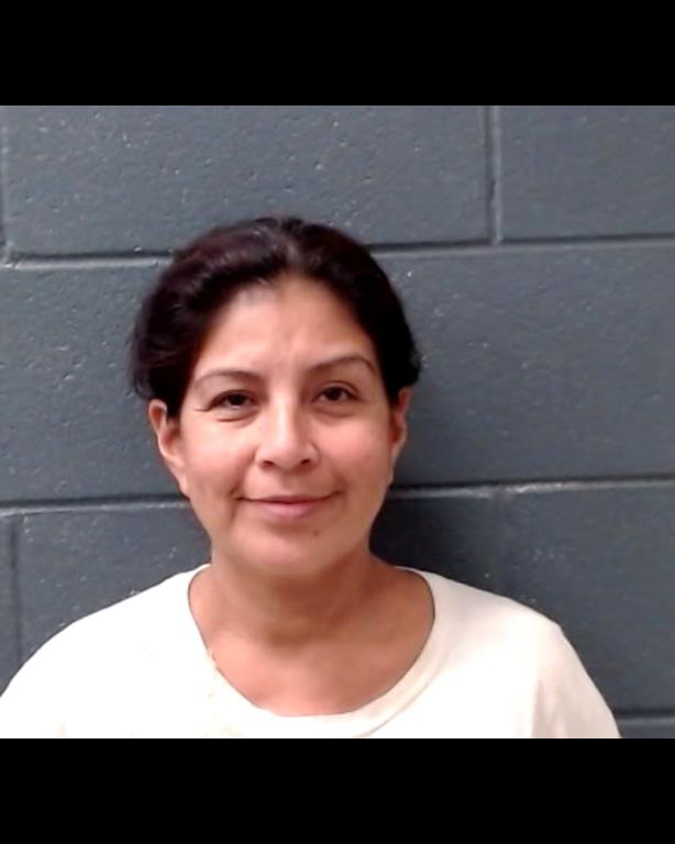 LOPEZ, LINDA LISA booking photo