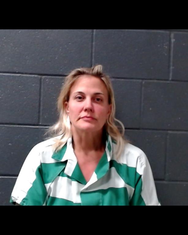 HOKANSON, DANIELLE NICOLE booking photo