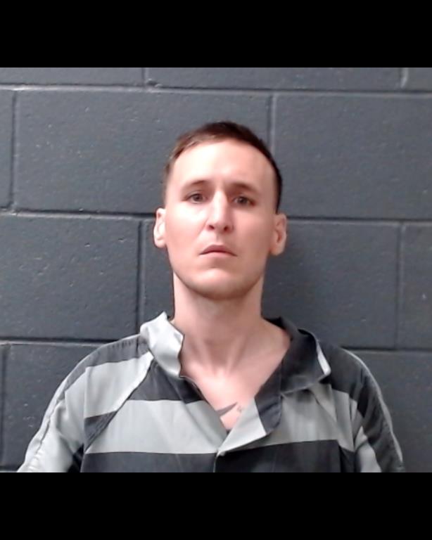 LUBEL, BRETT RYAN booking photo