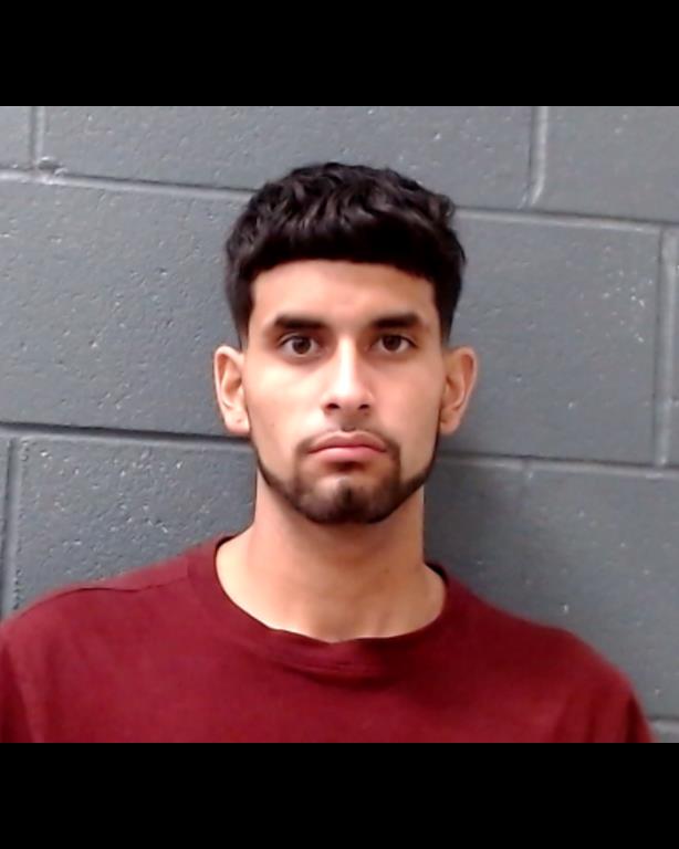 ALVAREZ, FABIAN ISAIAS booking photo