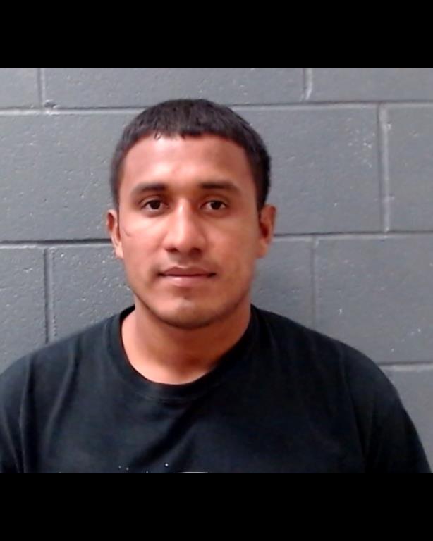 PONCE-BARDALES, DEVIS A booking photo