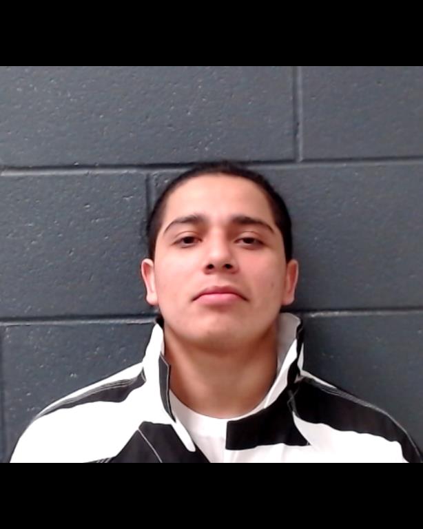 PINEDA-MOLINA, DAVID ROBERTO booking photo