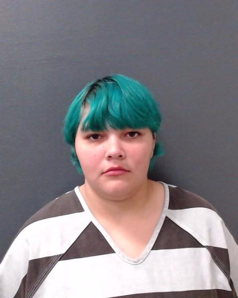 CASTILLO, ANGELICA MAE booking photo