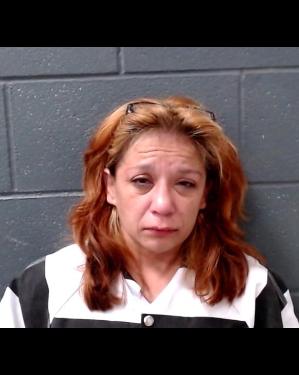 SANCHEZ-CASTILLO, JUDY booking photo