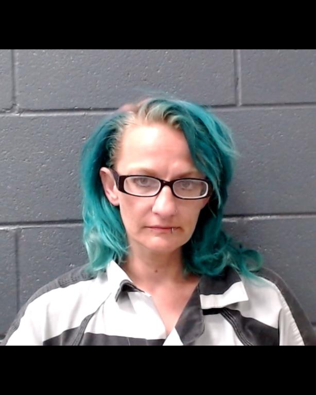 OBRIEN, TINA NICOLE booking photo