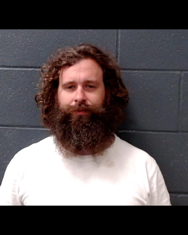 LANDERS, MATTHEW CAREY booking photo