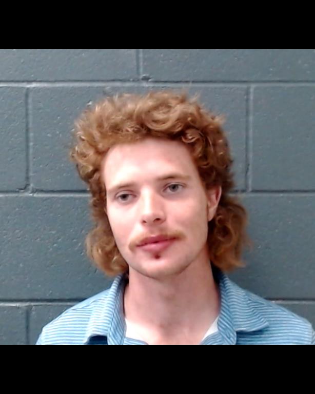 WAGNER, BERNARD RUDYARD booking photo