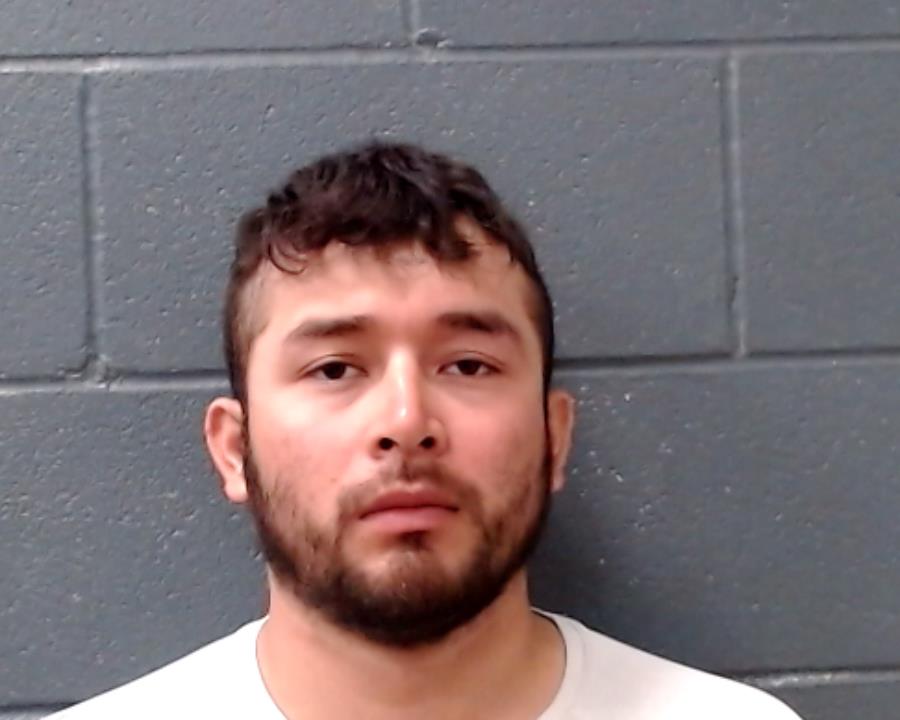 VENEGAS, ERICK ALEJANDRO booking photo