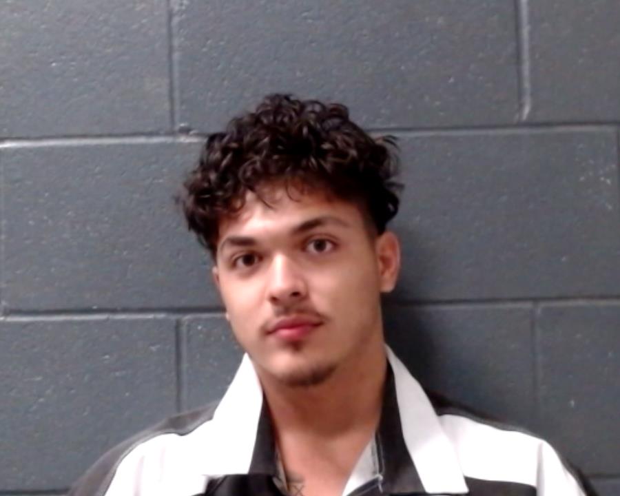 WILL, TIMOTHY ANSEL booking photo