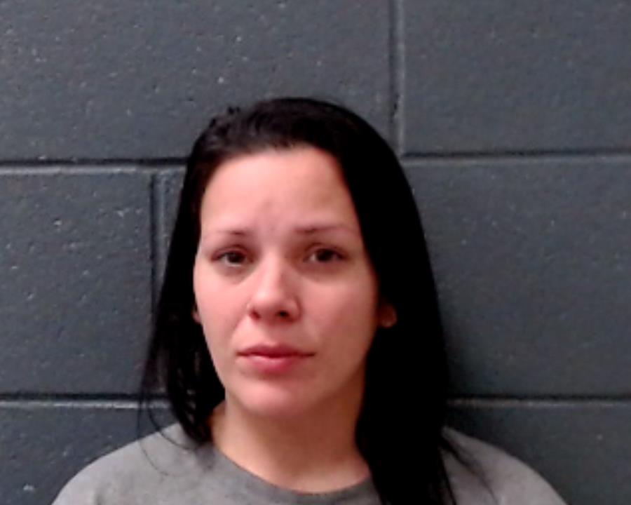 JOHNSON, TABITHA ANN booking photo