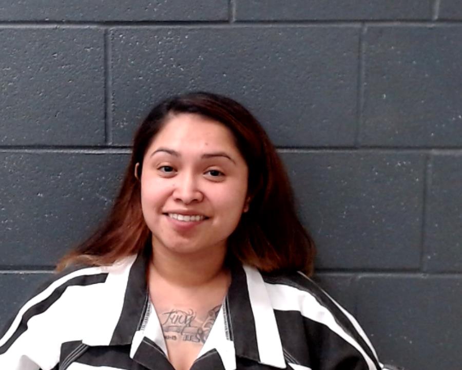 HERNANDEZ, ROSEMARY booking photo