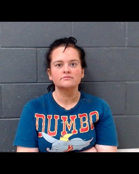 PASVOGEL, ELISA CAROLINA booking photo