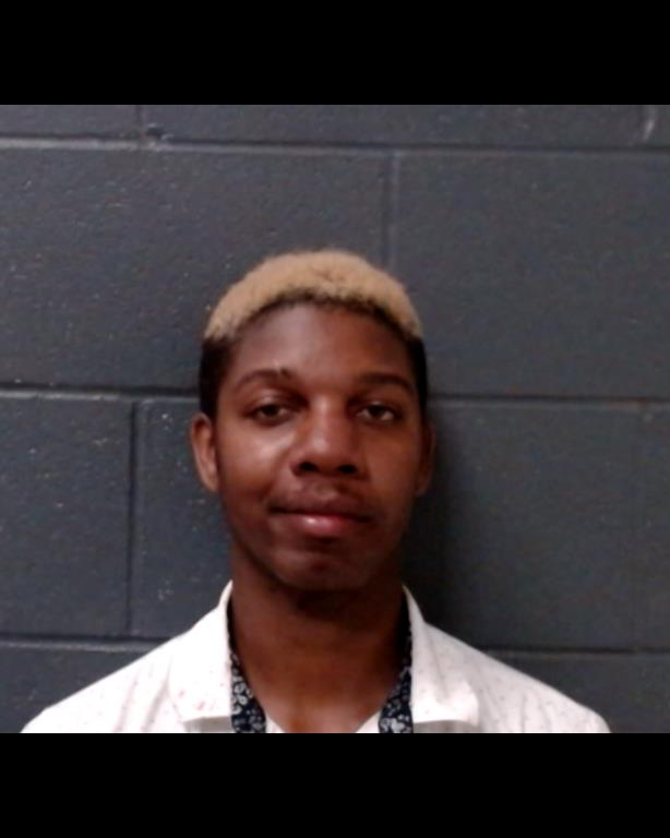 WILLIAMS, TAYLOR ALEXANDER booking photo