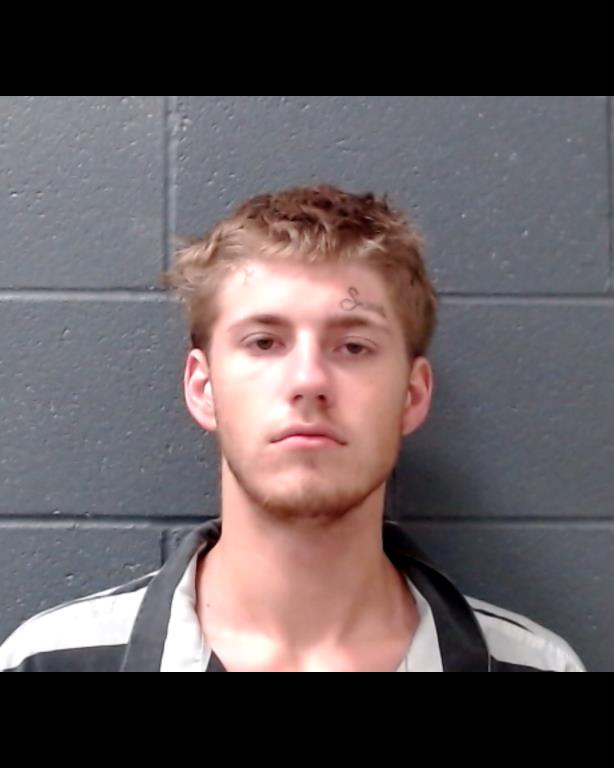 LEWIS, JESSE JAMES booking photo