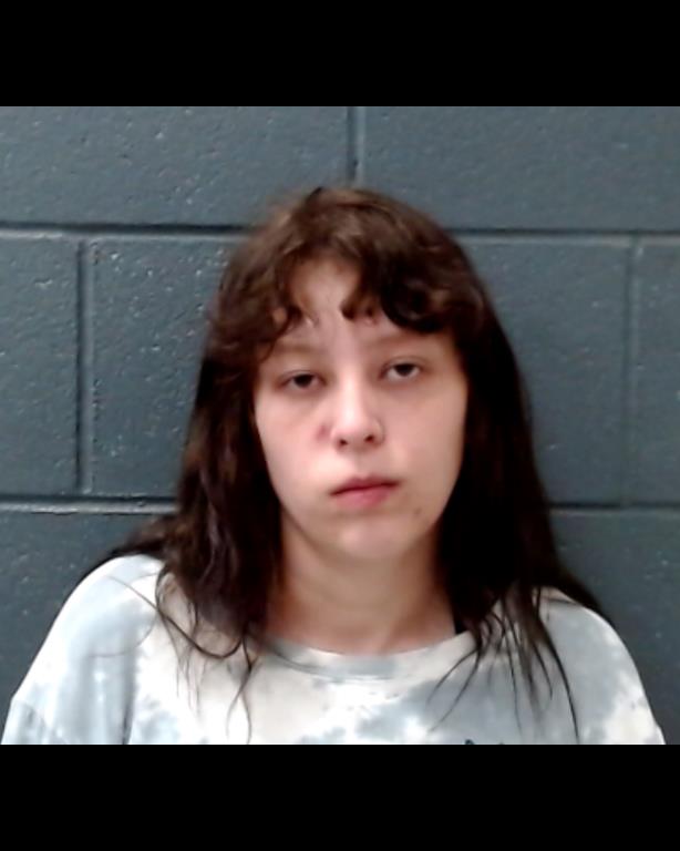 LYBARGER, AMBER ROSE booking photo