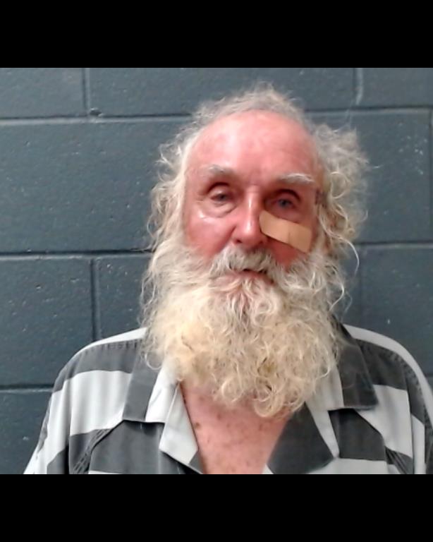 MCADAMS, WILLIAM ROBERT booking photo